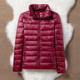 TRANSITION JACKET WITH PADDING | DARK RED